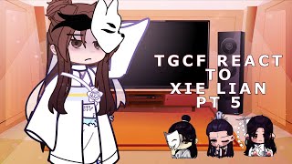 TGCF react to Xie Lian  56  pure angst basically  speed to 175x  2x  TY ALL SM FOR 1K SUBS [upl. by Yerkovich]