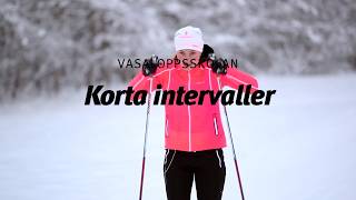 Vasaloppsskolan – Korta intervaller Avancerad skidteknik del 4 av 6 [upl. by Alekim]