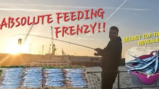 MASSIVE FEEDING FRENZY TIPS ON CATCHING HUGE AMOUNTS OF FISH viral fishing [upl. by Aleek]