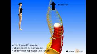 Vidéo sonorisée Diaphragme Périnée Intercostaux [upl. by Najib]