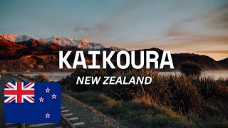 KAIKOURA NEW ZEALAND WHERE NATURES MAJESTY MEETS HISTORY  Best Things To And Guide kaikoura [upl. by Serafine]