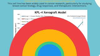 KPL4 Xenograft Model [upl. by Dorthea]