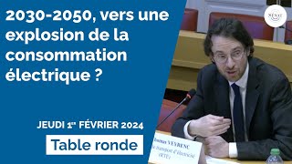 20302050 vers une explosion de la consommation électrique [upl. by Adnala]