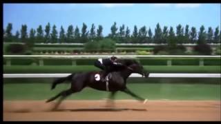 The Black Stallion final race [upl. by Urbani935]