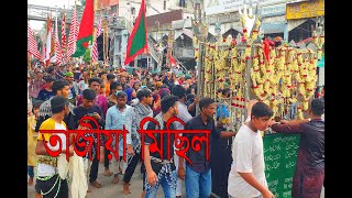 পবিত্র আশুরা তাজিয়া মিছিল  Tajia Michil [upl. by Lois]