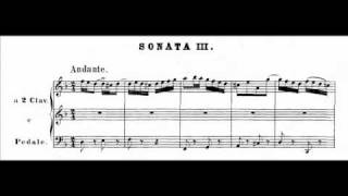 JS Bach  BWV 527 1  Sonata III  Andante dmoll  D minor [upl. by Oiramaj773]