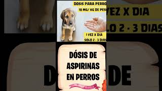 🔴Que Cantidad de ASPIRINA le Puedo Dar a mi PERRO ⏩ Dosis de ASPIRINA oral para PERROS ✅ [upl. by Lyndsey]