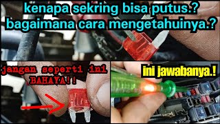 Fungsi serta Jalur Box Sekring  Fuse Motor BeAT injeksi SejeworksChannel1 [upl. by Anohs136]