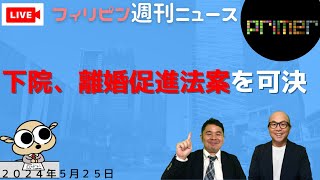 フィリピンのニュース 「下院、接戦の末に離婚促進法案を可決」 [upl. by Eicyal]