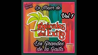 Tropicales del Exito  Decada del 70s [upl. by Robillard]