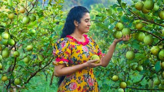 Guava Delights Sri Lankan Recipes 🍐 Making Cordial Cotton Candy Creamy Cake and More Treats [upl. by Rodrich]