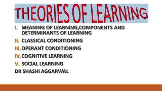 THEORIES OF LEARNING IN HINDI [upl. by Dosi]