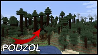 What Is Podzol Used For In Minecraft [upl. by Novets]