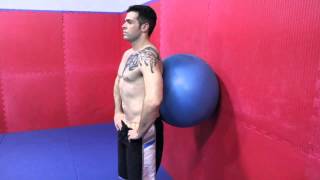 Popliteal Muscle Rehabilitation Exercises  Exercise amp Rehab Tips [upl. by Sadowski]