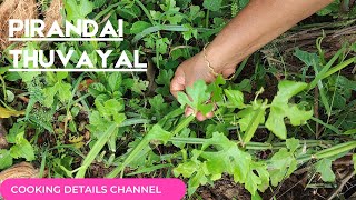 Pirandai thovaiyal in tamil  Pirandai chatney  Cooking Details Channel [upl. by Luzader658]