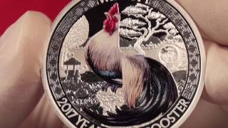 Remarkable rooster coin set for wealth and wisdom [upl. by Sorazal472]