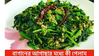 বাগানের আগাছা থেকে কি পেলাম  Lambs quarters  2 minutes cooking বথুয়া শাক  low carb diet  fresh [upl. by Duwalt]