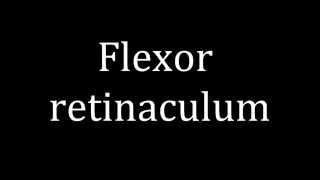 How to pronounce Flexor retinaculum [upl. by Edbert]