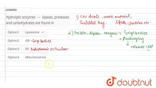 Hydrolytic enzymes  lipases proteases and carbohydrates are found in [upl. by Smiley]