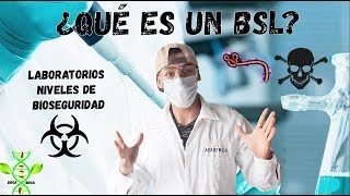 NIVELES DE BIOSEGURIDAD BSL LABORATORIOS ° Fácil y Rápido 😱 [upl. by Ahseniuq64]