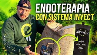 ENDOTERAPIA VEGETAL Aprende el paso a paso y todos sus beneficios [upl. by Yekcin]