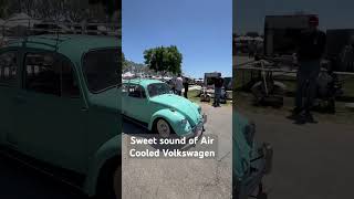 Beautiful Volkswagen Air Cooled engine sound Madera California Volkswagen Spring Fling 2024 [upl. by Latin]