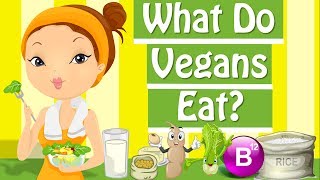 What Is Vegan What Do Vegans Eat  The Vegan Diet [upl. by Nalahs]