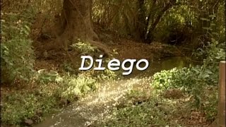 SUPER FLICS  saison 1  EPISODE 20  Diego [upl. by Fahey661]