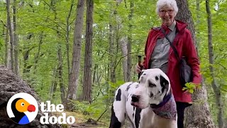 Great Dane Finds a New Grandma On Hiking Trail  The Dodo [upl. by Jameson]