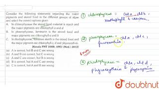 Consider the following statements regarding the major pigments and stored food in the different [upl. by Hedaza863]