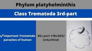 Class TrematodaImportant Trematoda parasite of human [upl. by Elleval]