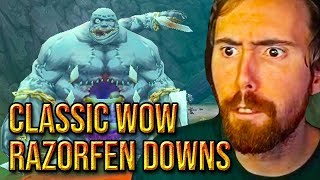 Asmongold FIRST Razorfen Downs Dungeon Clear  Classic WoW [upl. by Yntirb]