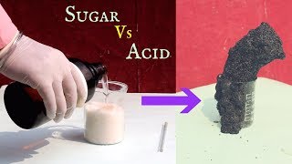 What happens when SUGAR and ACID reacts  Sugar Snake 🐍 Cool Experiment [upl. by Herr]