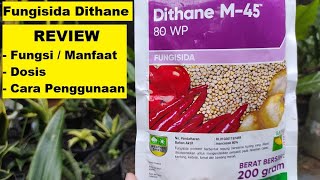 Review Fungisida Dithane  Fungsi  Manfaat Dosis  Takaran Cara Penggunaan Fungisida Dithane [upl. by Ahseekal983]