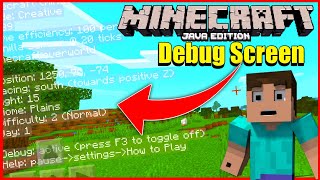 How to Get Java Debug Screen in Minecraft Bedrock Edition [upl. by Eiahpets]