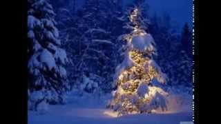 Circenīša Ziemassvētki  Andris Freidenfelds Latvian Winter Solstice Song [upl. by Nasya]