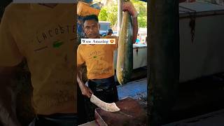 Amazing Mahi Mahi Fish cutting Skills fishcutting shorts mahimahifishcutting [upl. by Grishilde676]