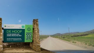 Driving from Bredasdorp to De Hoop Nature Reserve  Driving Cinematic Dash cam South Africa [upl. by Adnawot]