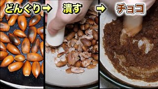 ドングリからチョコレート作ってみた【ENG SUB】 [upl. by Eanahs]