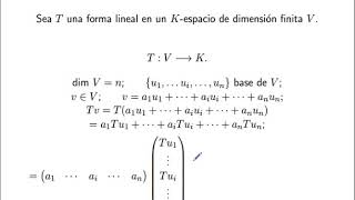 Formas lineales y bilineales [upl. by Teagan]