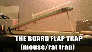 HOW TO MAKE A MOUSE TRAP Board flap trap [upl. by Delmor]