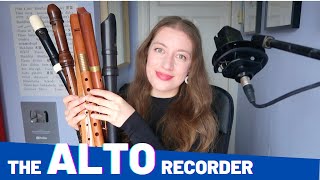 The extremely chaotic history of the ALTO RECORDER  Team Recorder [upl. by Kinnon]