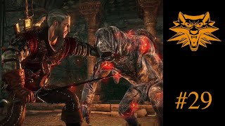 The Witcher 2 Assassins of Kings  Lets Play  29 [upl. by Mozart]