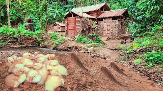 400 days of building a house digging a pond making a garden and a barn [upl. by Finkelstein]