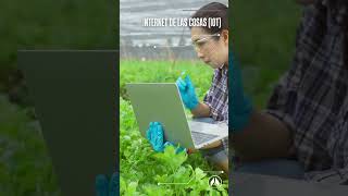 ¿Qué tecnologías y herramientas se utilizan en la agricultura 40 [upl. by Garik]