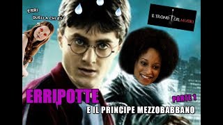 RIASSUNTO ACCURATISSIMO HARRY POTTER quotERRIPOTTE E IL PRINCIPE MEZZOBABBANOquot PT1 [upl. by Camus]