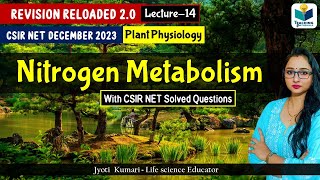 Revision Reloaded 20  Nitrogen Metabolism CSIR Dec 2023 Lecture 14  Plant Physiology [upl. by Ark899]