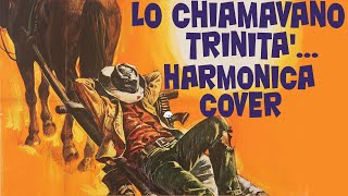 Lo chiamavano Trinità Harmonica cover [upl. by Loresz]