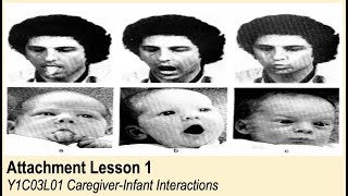 ALevel Psychology AQA Attachment  CaregiverInfant Interactions [upl. by Assilanna]