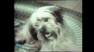 1970 Chuck Wagon Dog Food Commercial [upl. by Yznil]